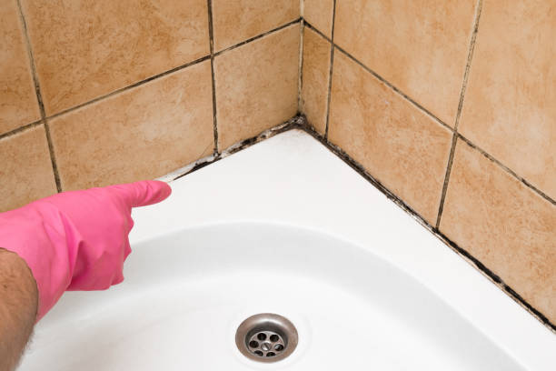 Best Emergency Mold Removal  in Las Lomas, TX